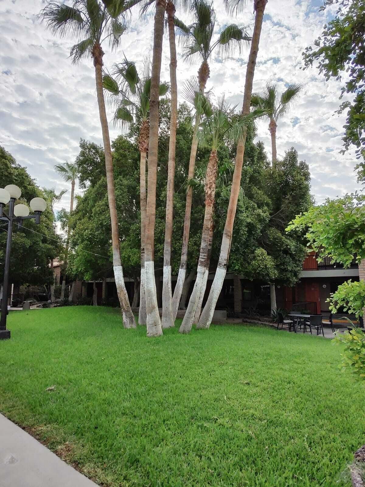 Hotel Colonial Mexicali Eksteriør bilde